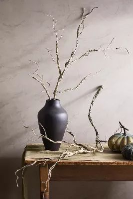 Spooky Faux Branches, Set of 2 | Anthropologie (US)