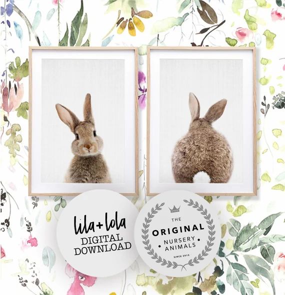 Nursery Wall Art Decor Bunny Rabbit Nursery Animal Prints | Etsy | Etsy (US)