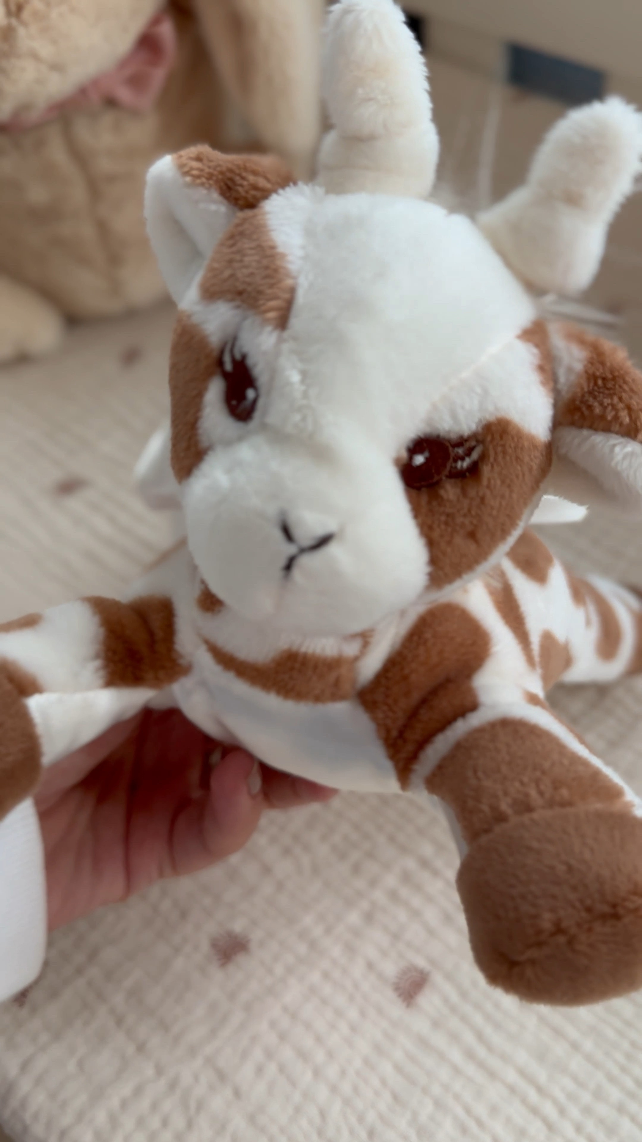 Cute | baby giraffe | baby toy 

#LTKbaby #LTKkids