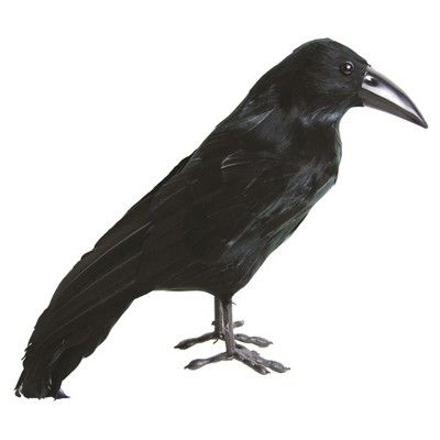 Halloween Crow Figural 1ct (styles vary) - Hyde and Eek! Boutique™ | Target