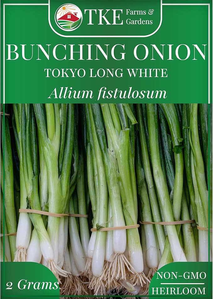 TKE Farms & Gardens - Tokyo Long White Bunching Onion Seeds, 500+ Non-GMO Heirloom Seeds, Fast-Gr... | Amazon (US)