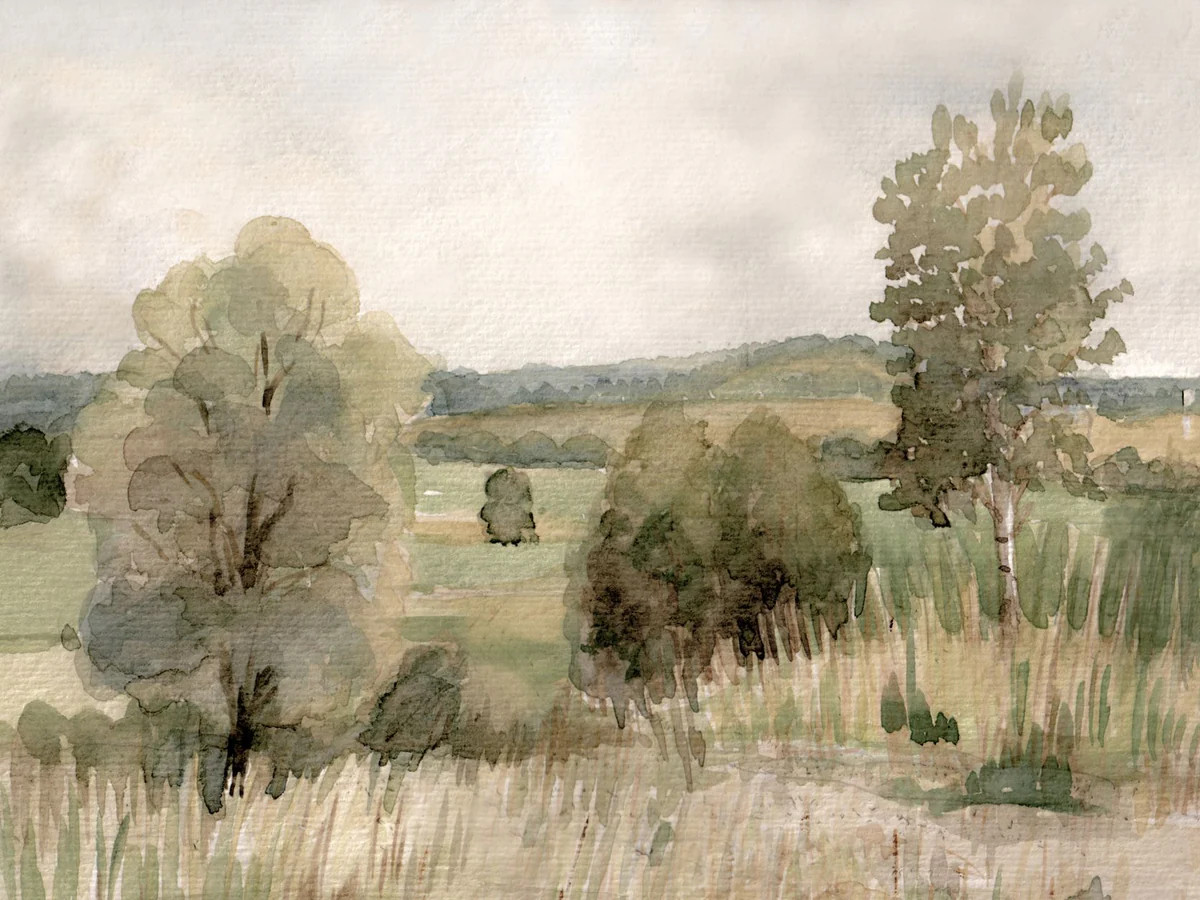 Summer Plain | Collection Prints