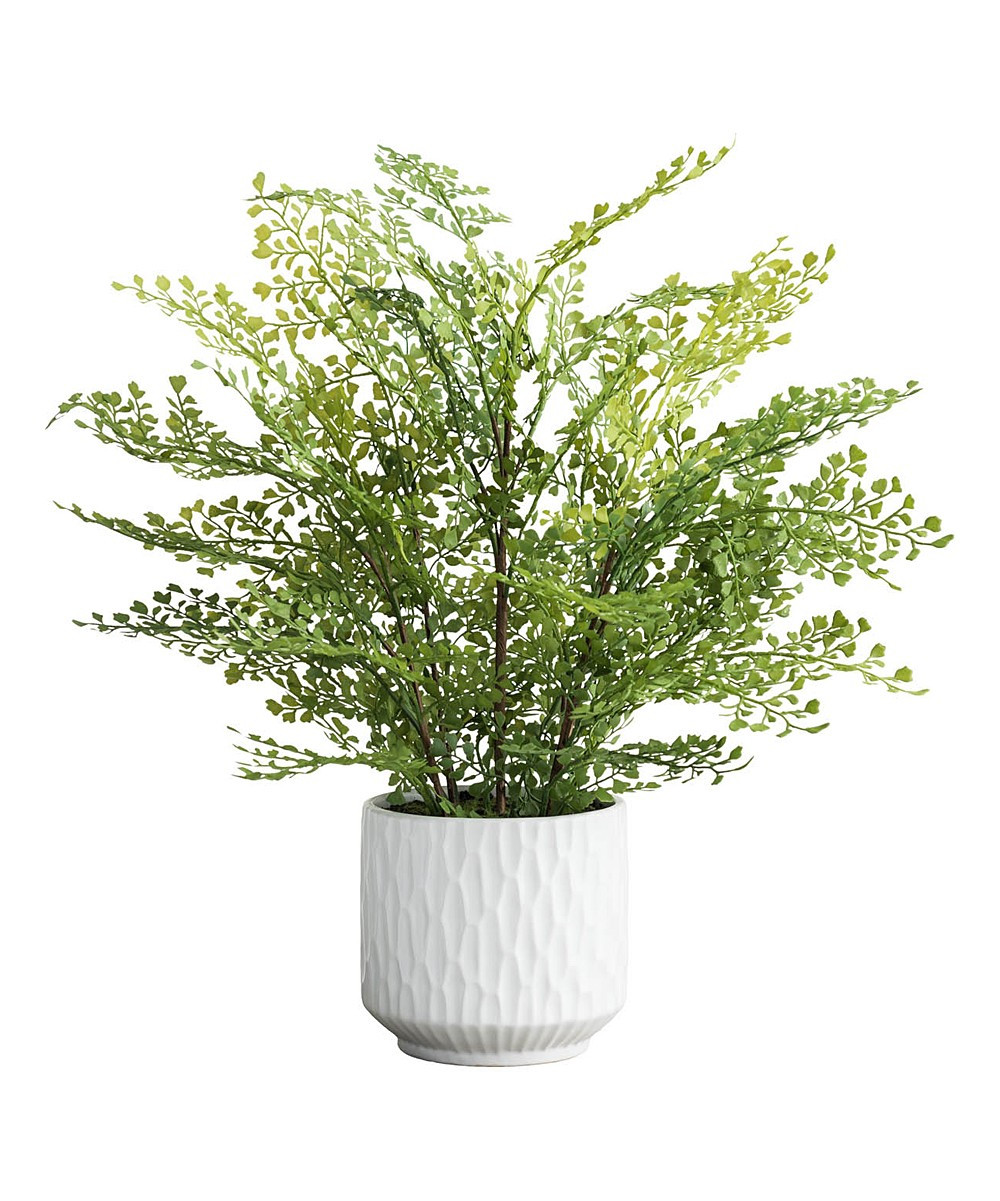 Hemsly Faux Plants Green - Green Debossed Ceramic Potted Fern Arrangement | Zulily