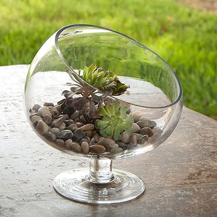 Small Glass Slanted Bias Terrarium Bowl | Amazon (US)