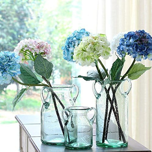 Noah Decoration Double Ear Hand-Blown and Handmade Transparent Flower and Filler Bubble Glass for... | Amazon (US)