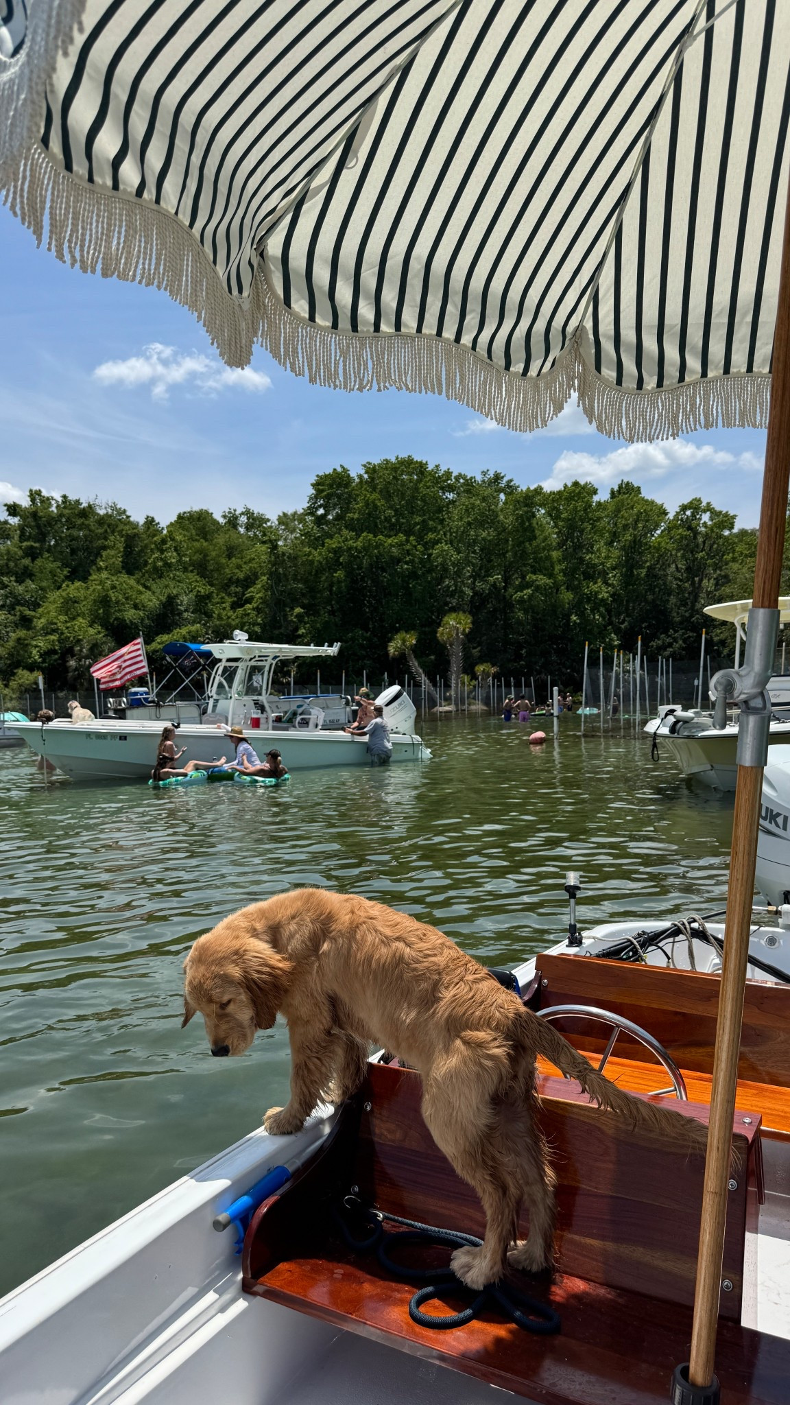 my favorite beach umbrella is currently on sale!

#LTKSeasonal #LTKSaleAlert