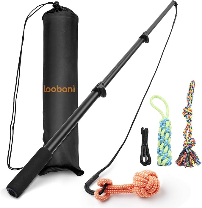 LOOBANI Flirt Pole for Dogs Chase and Tug of War, Dog Flirt Pole with Detachable Interactive Toys... | Amazon (US)