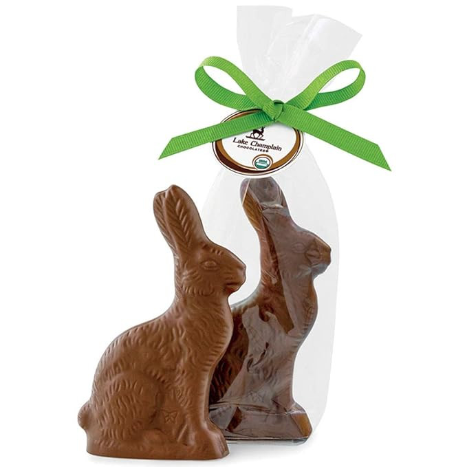 LAKE CHAMPLAIN CHOCOLATES Organic Classic 5in Milk Chocolate Bunny, 3.7 OZ | Amazon (US)
