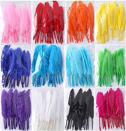 Coceca 240pcs Colorful Goose Natural Feathers 4-6 Inches Feathers for DIY Crafts | Amazon (US)