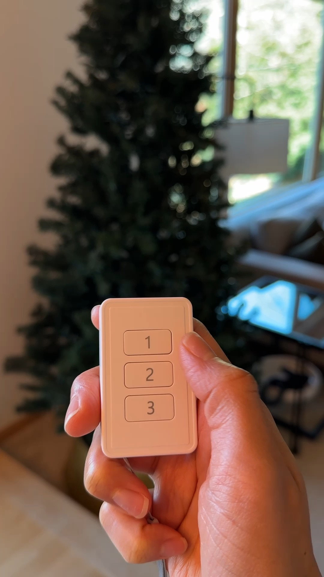 I don’t know how I didn’t know about this before! A remote for your outlets! The one I bought comes with a pack of 3 outlet plugs with the corresponding remote, but I also linked some others that work really well that you can control from your phone or set a timer with. I will be using this beyond the holiday season. 

#LTKGiftGuide #LTKHome #LTKHoliday