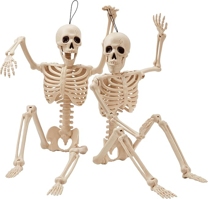 JOYIN 2 PCS 24” Halloween Skeletons Full Body Posable Skeletons Human Plastic Bones with Movabl... | Amazon (US)