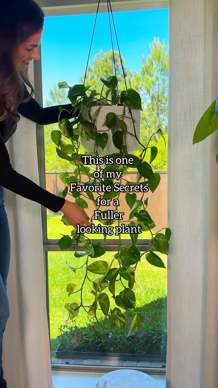 Comment SECRET for links 😉

Want your plant to look full without the wait?

Just double it up in one pot.
It fills out fast and looks way more established

It’s basically a cheat code for a lush plant
No patience required 😌

Works great for smaller or sparse plants

#plantcare #houseplants #planttips #indoorgardening #plantlover