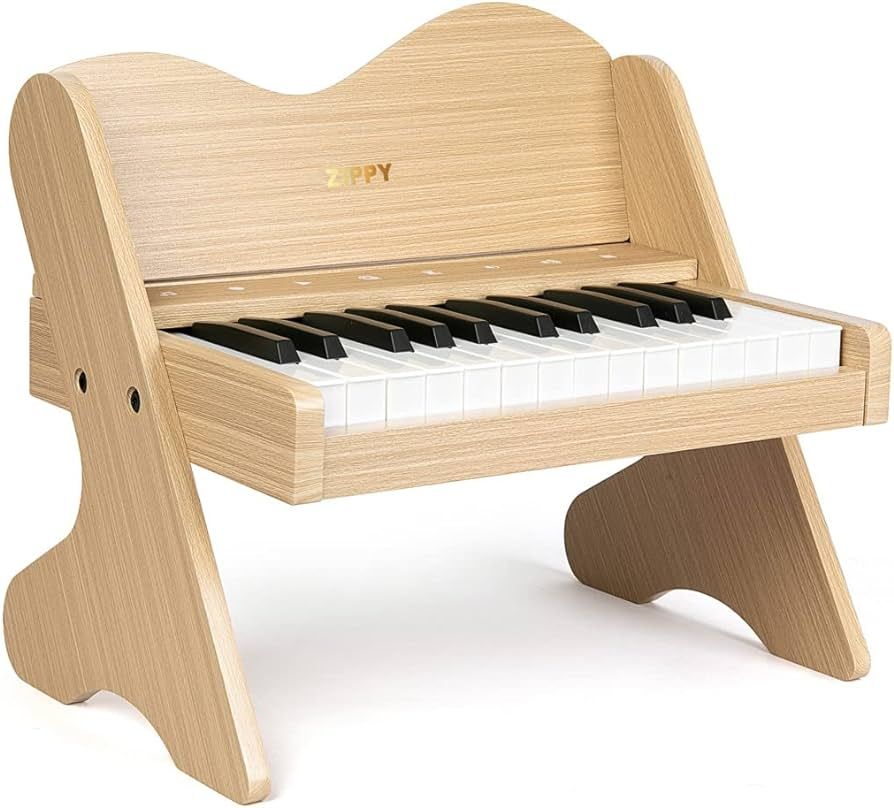 ZIPPY Kids Piano Keyboard, 25 Keys Digital Piano for Kids, Touch Sensitive Control Panel, Built-i... | Amazon (US)