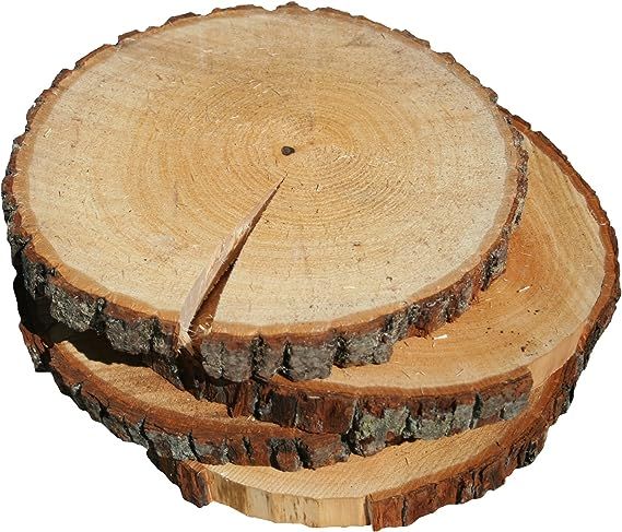 Wilson Enterprises 4 Pack Basswood Round Rustic Wood, Unsanded with Cracks, 9-11 inch Diameter (L... | Amazon (US)