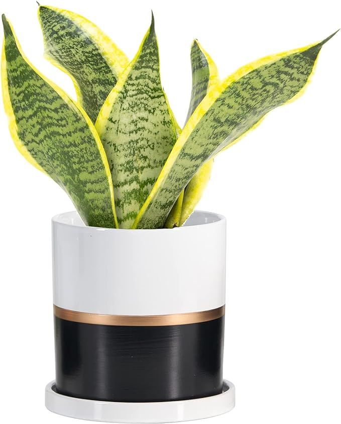 Ekirlin 4 inch Plant Pot - Ceramic Flower Planters Indoor - Modern Succulents Containers with Dra... | Amazon (US)