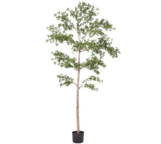 Faux Gregorywood Tree | Pottery Barn (US)