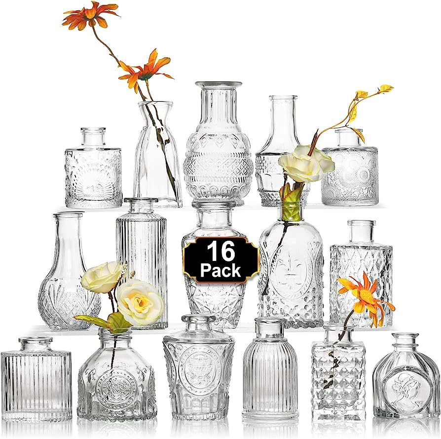 Arme 16Pcs Glass Bud Vase Set，Small Flower Vase for Centerpieces，Clear Bud Vases in Bulk， M... | Amazon (US)