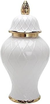 Fonowx Ceramic Ginger Jar Decorative Jars Temple Jars Bud Vase for Living Room Cafe and Kitchen D... | Amazon (US)