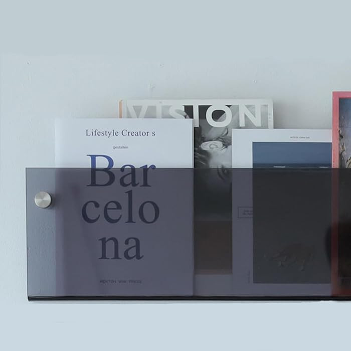 ROYALITA 2-Pack Acrylic Magazine Holder Brochure Holder, 17" Record Holder Magazine Rack, Fashion... | Amazon (US)