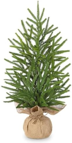 Artificial Mini Christmas Tree Tabletop - 21.6" Small Xmas Norfolk Pine Tree with Burlap Weighted... | Amazon (US)