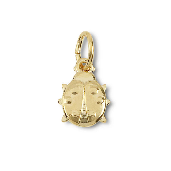 Lucky Ladybug Charm | HART