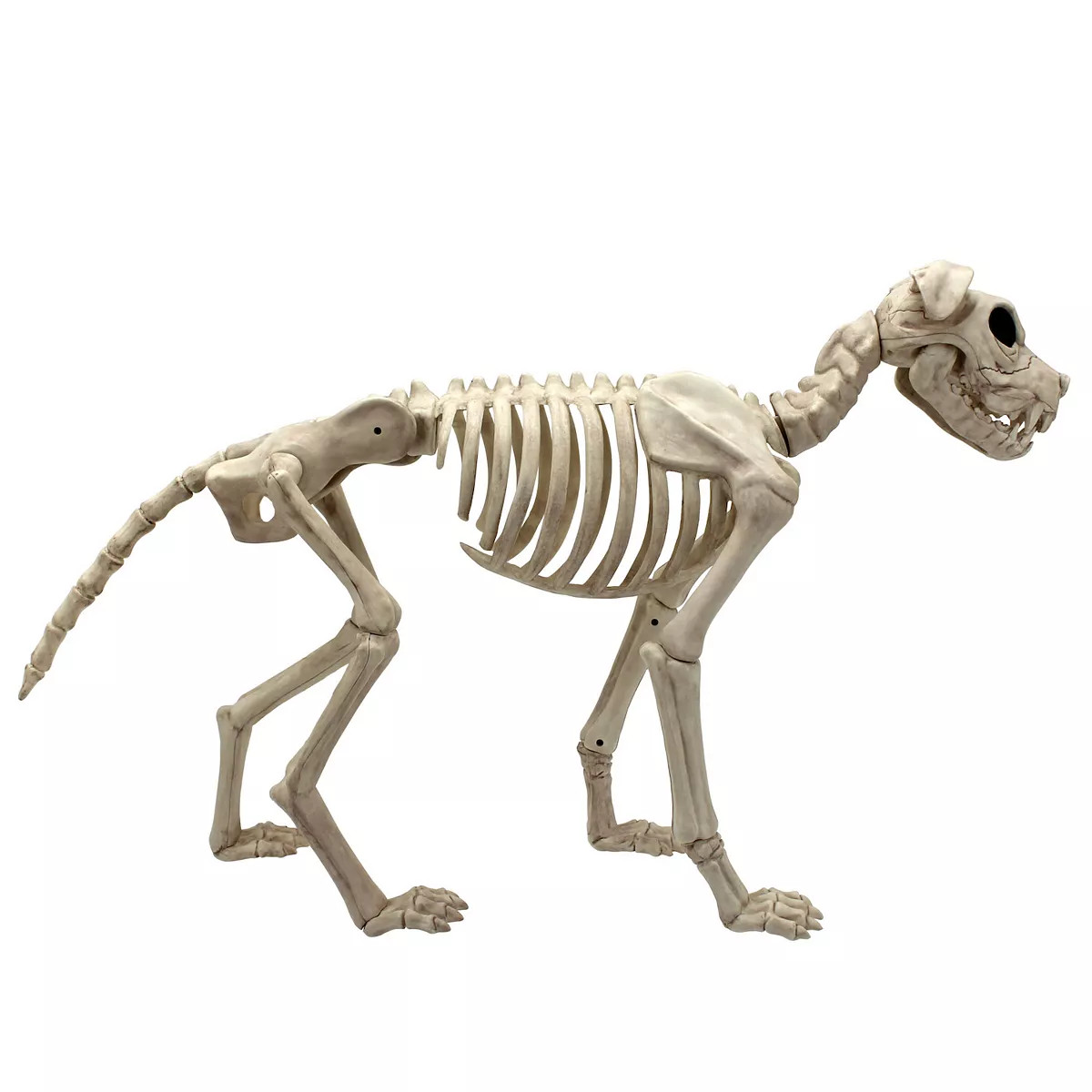 Celebrate Together™ Halloween Large Dog Skeleton Outdoor Decor | Kohl's
