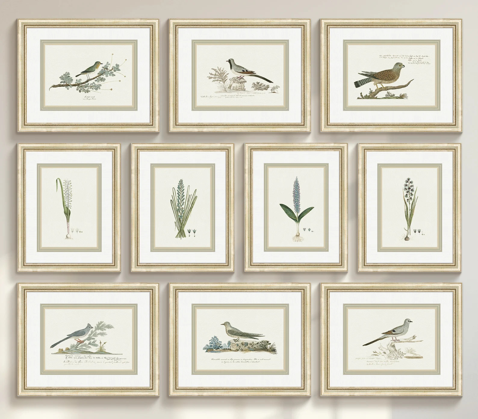 Set of 10 Antique Custom Framed Botanical and Bird Wall Art Prints, Archival Art Print on Importe... | Etsy (US)