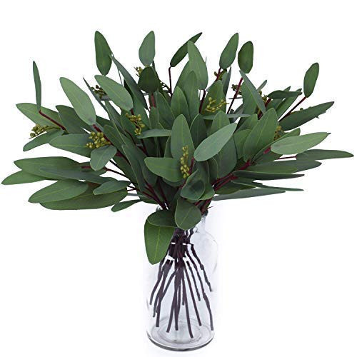 Woooow Artificial Eucalyptus Long Oval Leaf Stem Eucalyptus Spray Artificial Greenery Leaves for ... | Amazon (US)