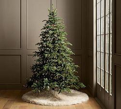 Tree Classics Burke Spruce Christmas Tree by Balsam Hill | Pottery Barn (US)