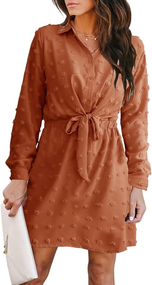Alaster Women's Casual Shirt Dresses Long Sleeve Fall Mini Dress Swiss Dot Blouse Work Dresses fo... | Amazon (US)