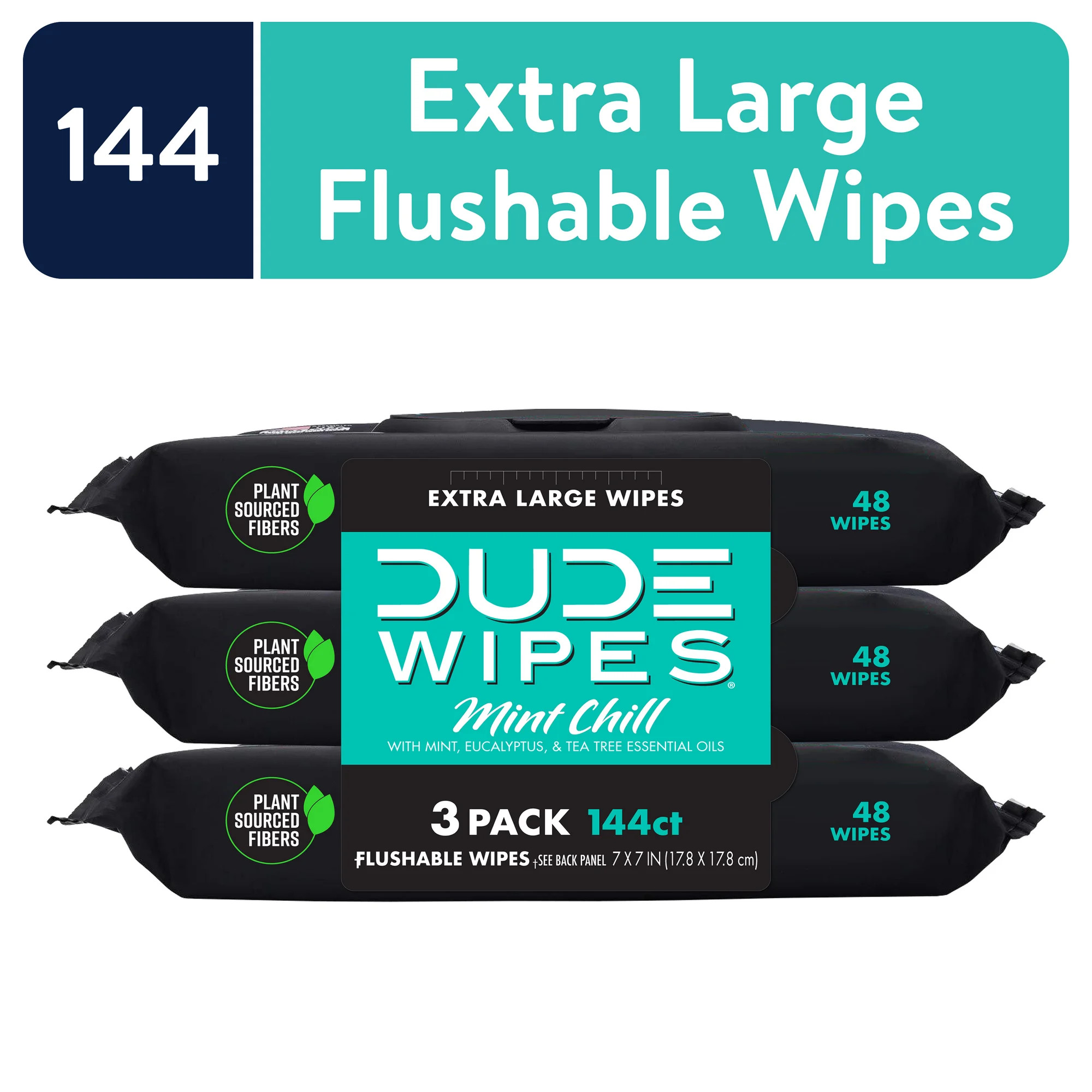 DUDE Wipes Flushable Wipes, Mint Chill XL Wet Wipes to Use with Toilet Paper, 48 Ct, 3 Pack, 144 ... | Walmart (US)