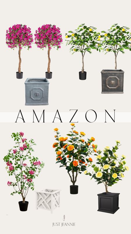 Create a peaceful and stylish look to your patio or backyard, with the click of a button at Amazon !#justjeannie #patio#backyardoasis #flower

#LTKHome