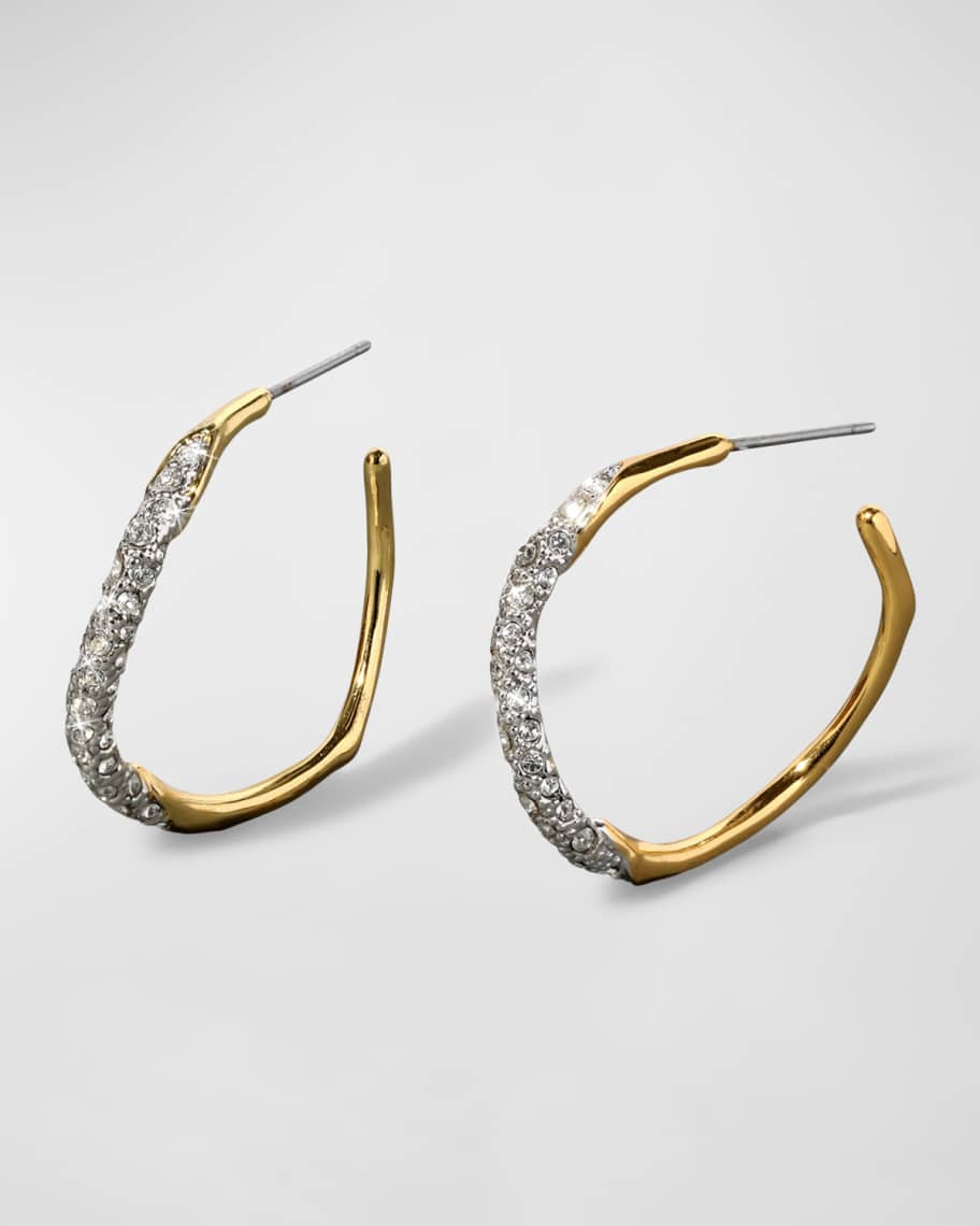 Alexis Bittar Medium Two-Toned Pave Hoop Earrings | Neiman Marcus