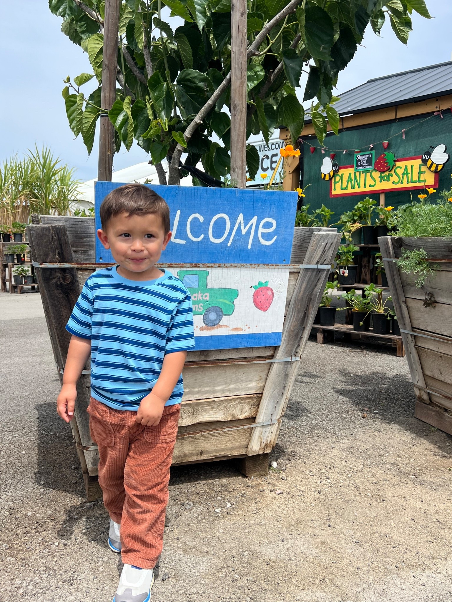 Day on the farm with my guy ❤️

#LTKKids #LTKdayinmylife #LTKmomlife