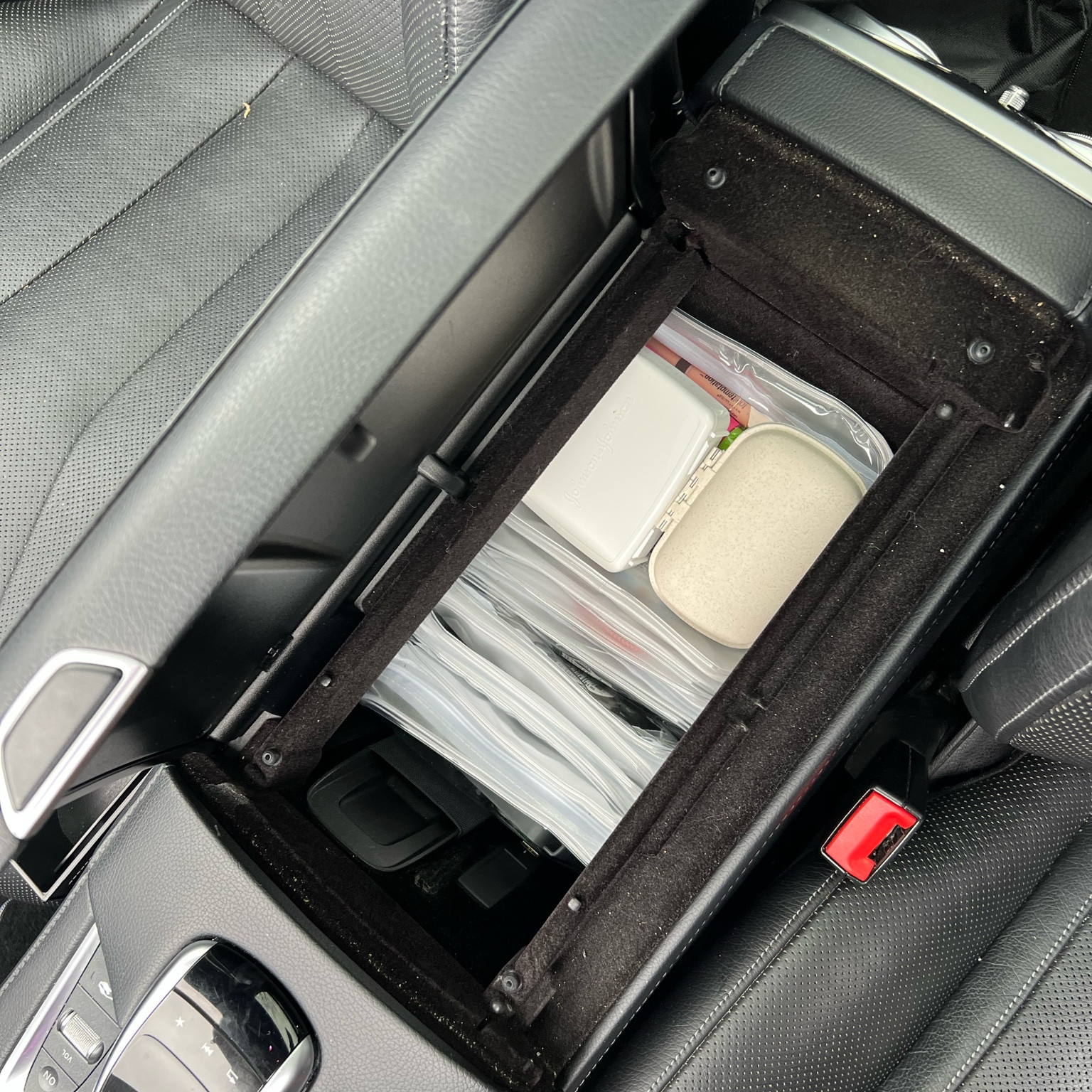 Cat Organization 

#LTKhome #LTKfamily