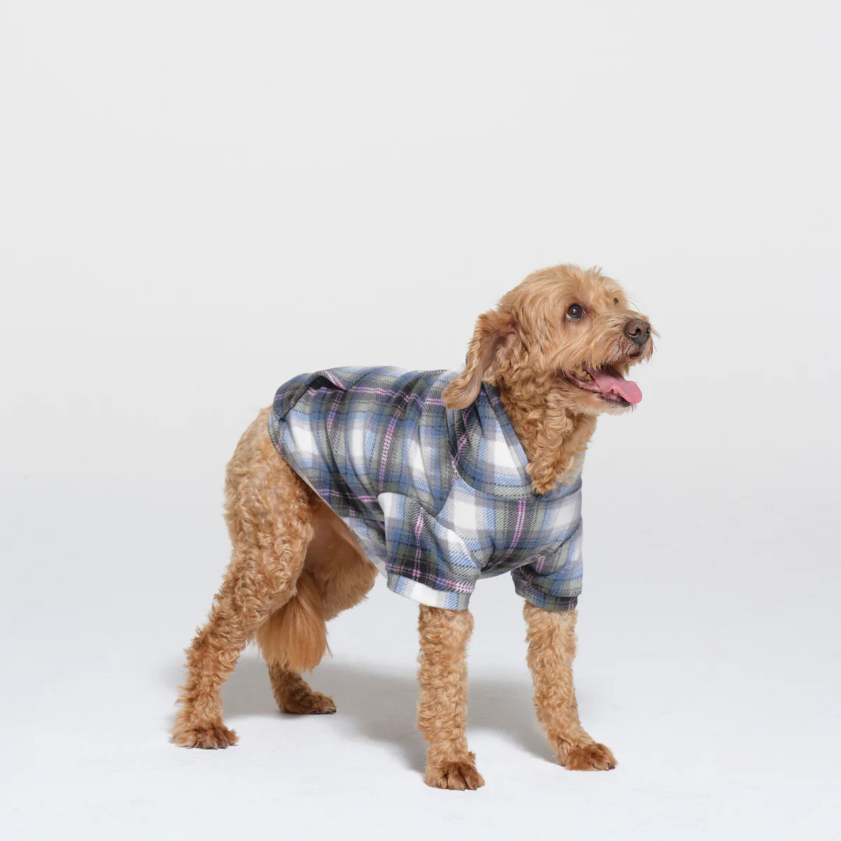 PET HOODIE | SKIMS (US)