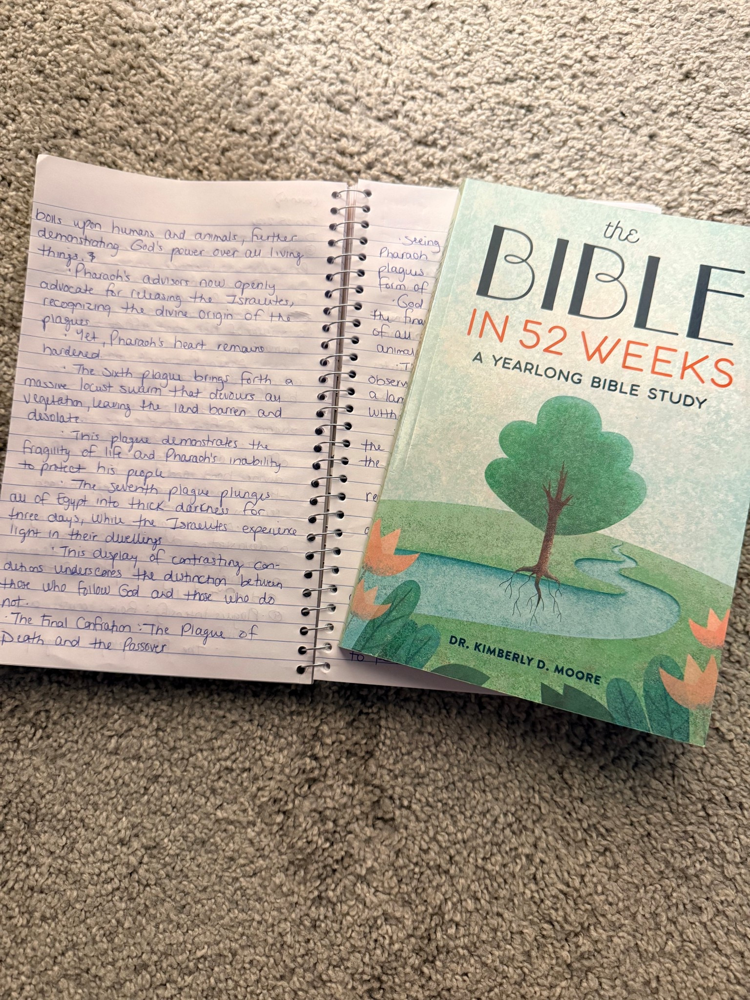 Been loving this Bible study 😍 #biblestudy #devotions #worship 

#LTKdayinmylife #LTKvlog