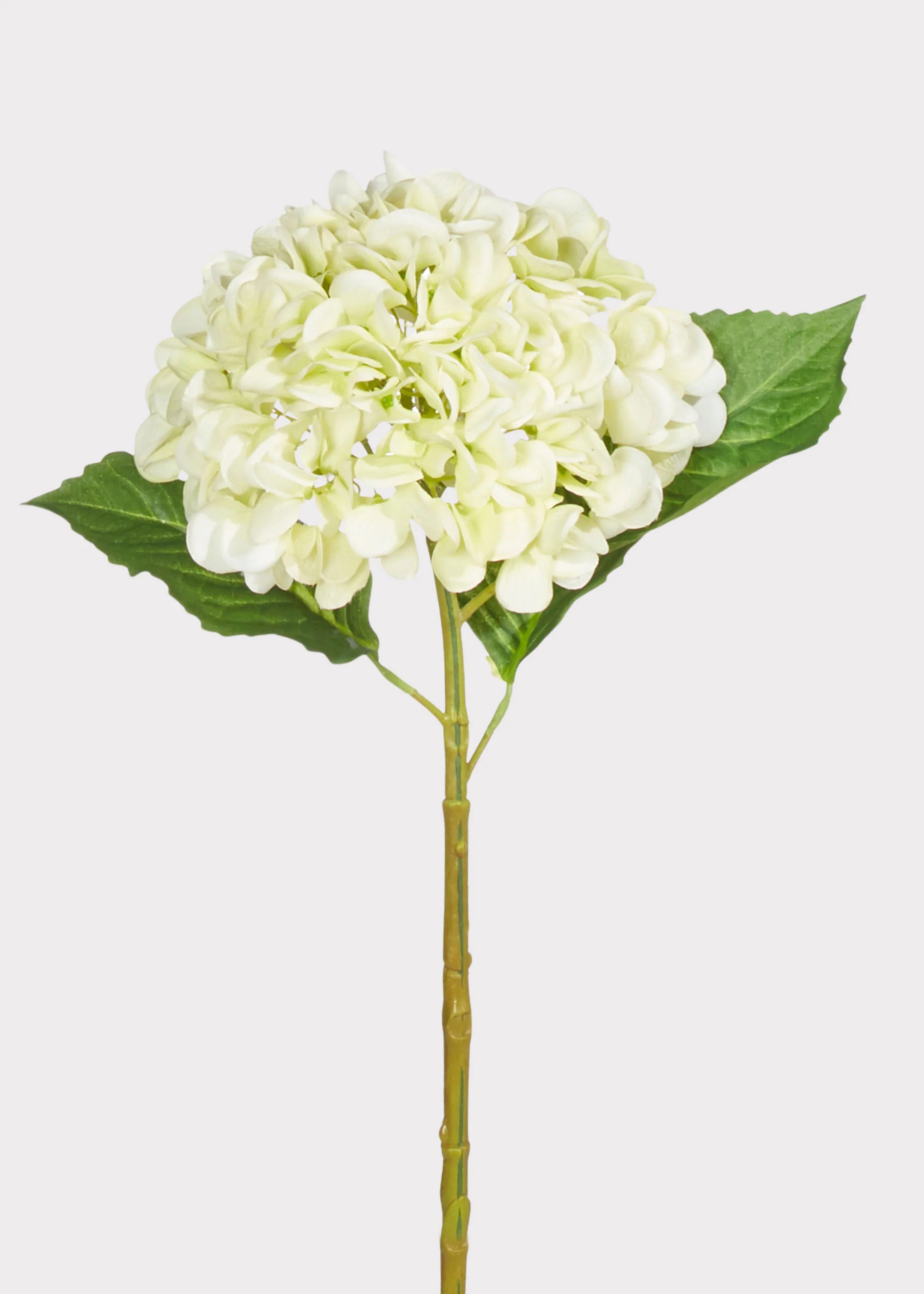 Real Touch Hydrangea Fake Flower in Light Green - 20.5 | Afloral
