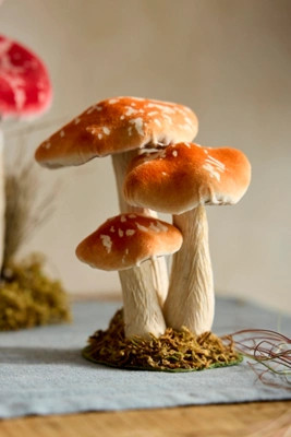 Velvet Mushrooms, Small | Anthropologie (US)