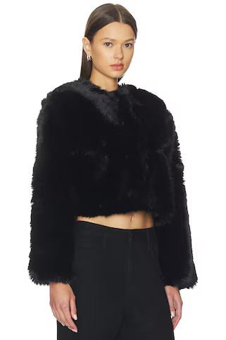 Crop Faux Fur Coat in Cash Flow | Revolve Clothing (Global)