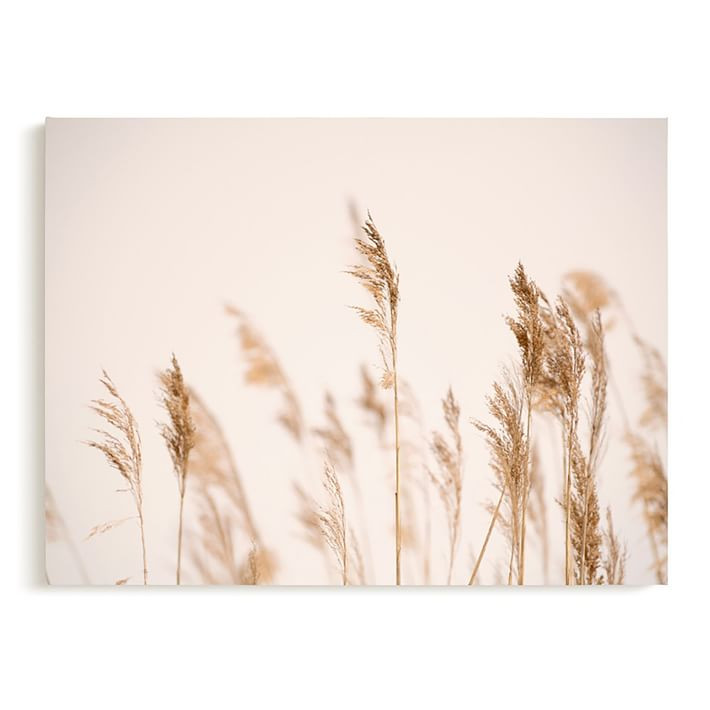 Minted® Summer Weeds Canvas Art by Crystal Lynn Collins | Pottery Barn Teen