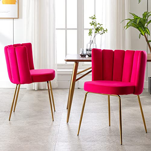 Janoray Velvet Dining Chairs Set of 2 Upholstered Gold Metal Legs Hot Pink Mid Century Modern Accent Chair for Living Room Kitchen Dining Room, Hot Pink | Amazon (US)