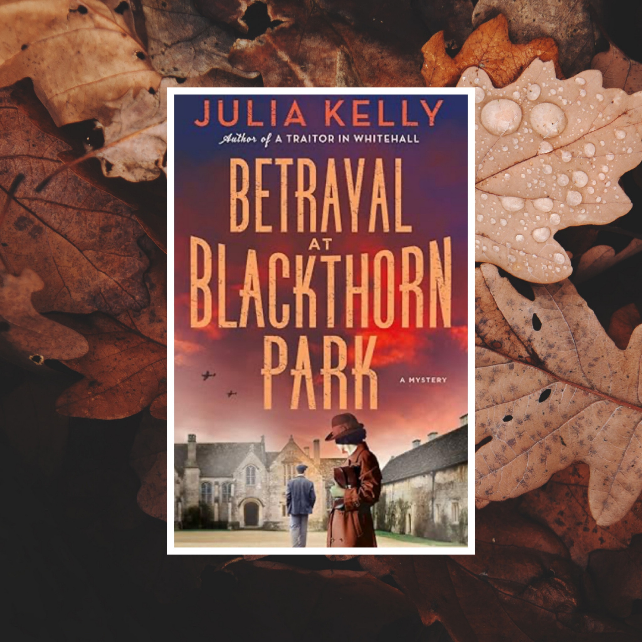 Betrayal at Blackthorn Park by Julia Kelly ⭐️⭐️⭐️⭐️💫

Honestly, this book has it all. Fast paced, great characters, well researched history, and a creative mystery. 

#historicalfiction #bookrecs #bookreviews #books #ltkbooks

#LTKSeasonal #LTKHome #LTKTravel