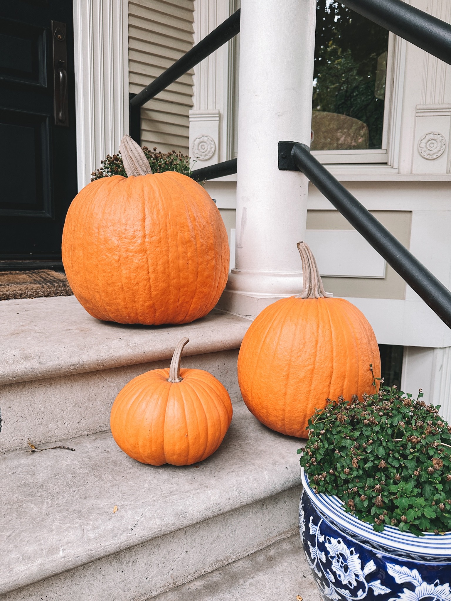 My FAUX (🤯) pumpkins! Some are on sale 👏🏻 Worth every penny. Have had for years and still look just as real as they did when I first got them! 🎃 