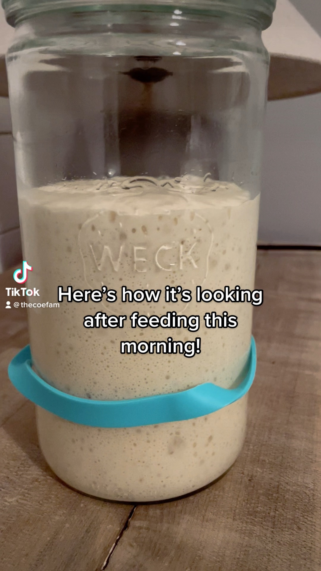 Wreck Jars for sourdough starter 