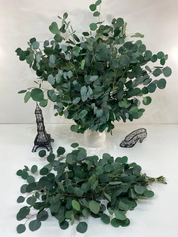 Fresh Silver Dollar Silver Dollar Bouquet Centerpieces | Etsy | Etsy (US)