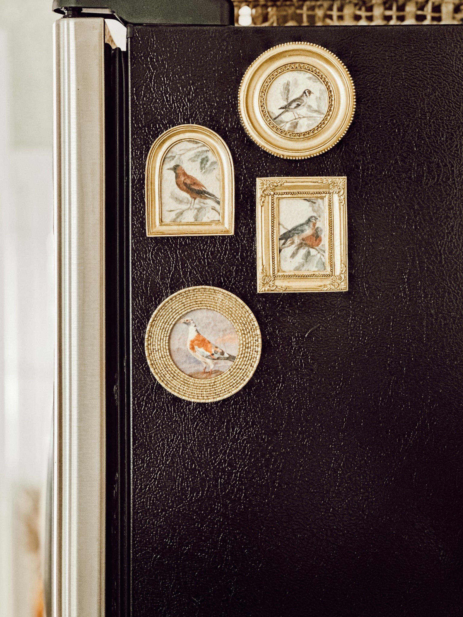 Framed bird art magnets to cozy up your fridge for fall and winter. 

#LTKHome #LTKFindsUnder50