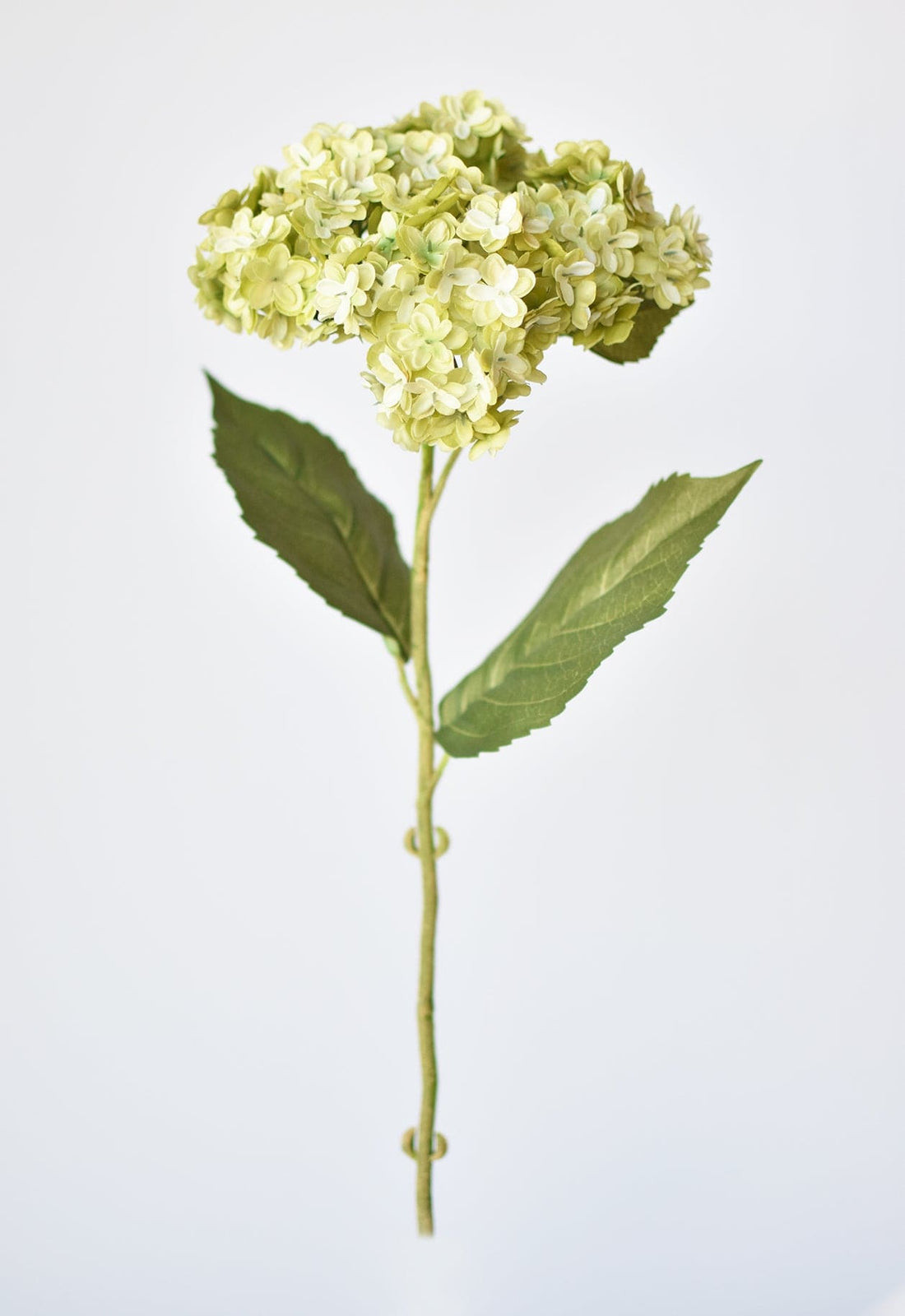25" Faux Hydrangea Stem Apple Green | HouseFloral
