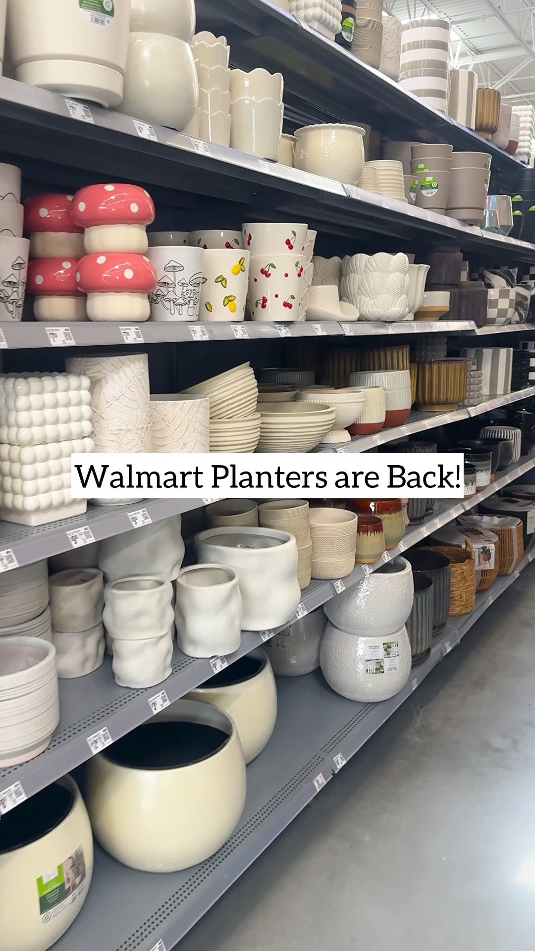 Walmart planters are back in stock! 🤎 These are the exact ones I bought and some of them are such great deals right now. Perfect if you want to upgrade your plant corner without spending a ton. I love the simple, modern look of these! 🌿 Run before they disappear again.

Walmart planters | affordable planters | budget friendly planters | plant pots Walmart | indoor plant pots | modern plant pots | planter deals | houseplant decor

#walmartfinds #walmartplanters #planterdeals #affordabledecor #plantdecor #plantstyling #houseplantclub #plantinspo #plantlover #budgetdecor

#LTKHome #LTKSpringSale #LTKmomlife