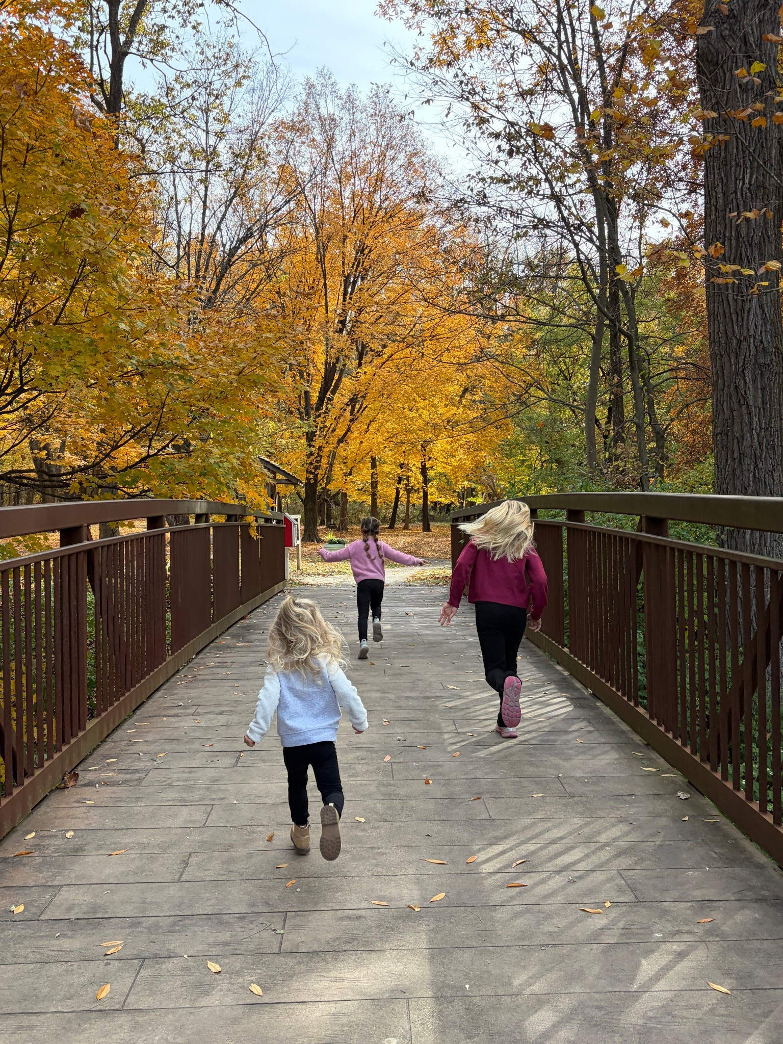 Fall family pictures and the kids loved their outfits.

#LTKHoliday #LTKKids #LTKFamily